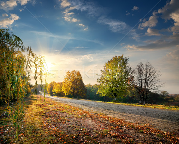 Foto stock: Otono · carretera · hermosa · forestales · brillante · sol