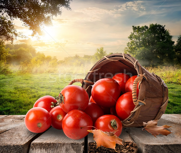 Tomatoes and landscape Stock photo © Givaga