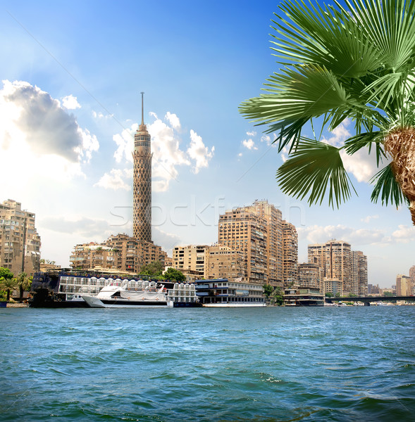 Telewizja wieża Kair światło słoneczne miasta krajobraz Zdjęcia stock © Givaga