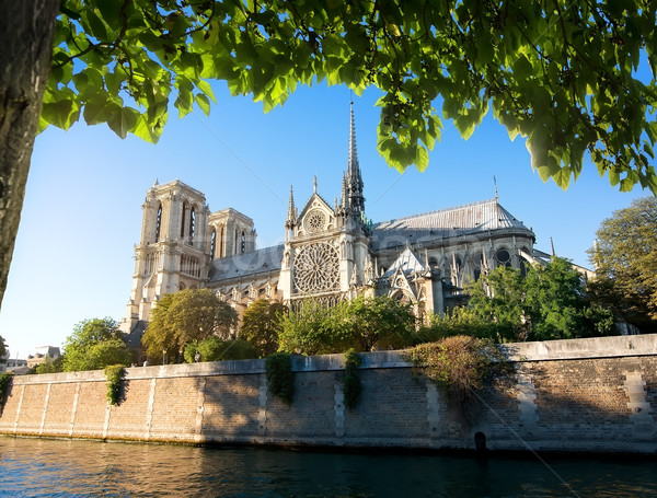 Majestueus lady kathedraal Parijs Frankrijk boom Stockfoto © Givaga