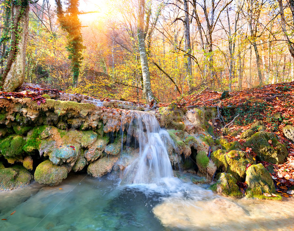 Kaskade Berg Fluss Wald Herbst Baum Stock foto © Givaga