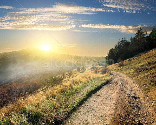 Road in the morning Stock photo © Givaga
