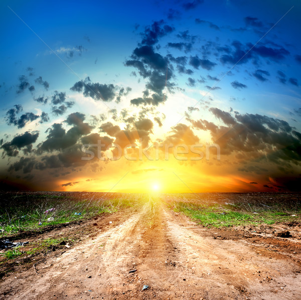 Country road and cumulus clouds Stock photo © Givaga