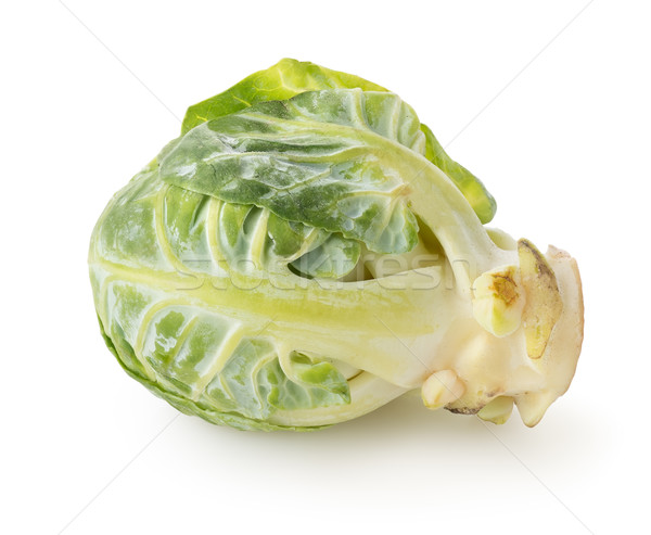 Brussel sprouts isolated Stock photo © Givaga