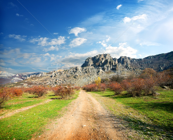 Road to the mountains Stock photo © Givaga