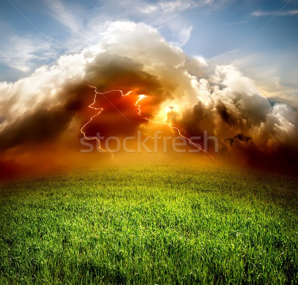 Lightning in the field Stock photo © Givaga