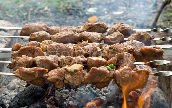 Kebab Grill Rauch Stock foto © Givaga