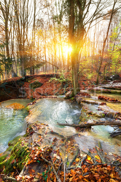 Kaskade Fluss Berg Wald Herbst Baum Stock foto © Givaga