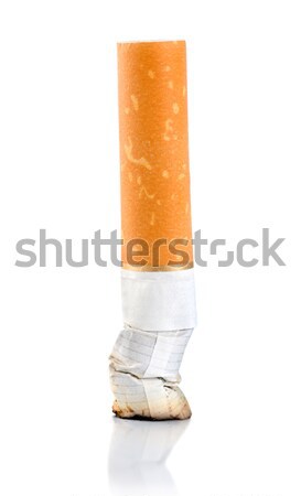 [[stock_photo]]: Cigarette · Butt · isolé · blanche