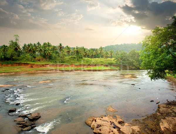 Folyó dzsungel Sri Lanka naplemente természet szépség Stock fotó © Givaga