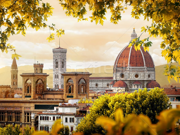 Catedrală Florenţa floare toamnă Italia Imagine de stoc © Givaga