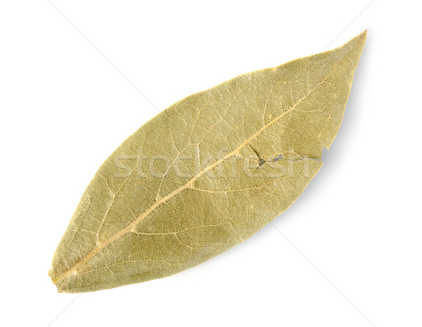Suszy liść laurowy odizolowany biały Zdjęcia stock © Givaga