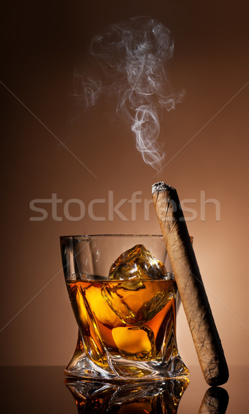 Szkła whisky cygara brązowy działalności dymu Zdjęcia stock © Givaga