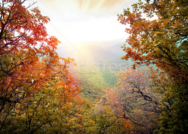Sonnenstrahlen Berge Morgen schönen Herbst Berg Stock foto © Givaga