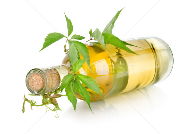 White wine and vine Stock photo © Givaga