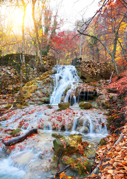 Mountain river in autumn Stock photo © Givaga