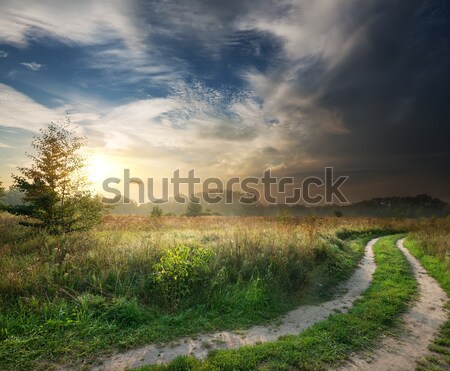 Onweersbui onweerswolken mist hemel boom Stockfoto © Givaga