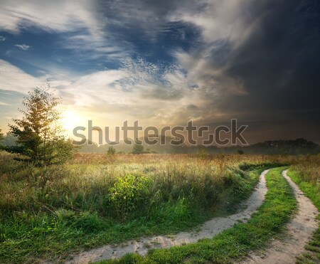 Orage nuages ​​d'orage brouillard ciel arbre [[stock_photo]] © Givaga