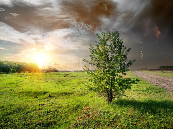 Pioruna drogowego dziedzinie drzewo krajobraz Zdjęcia stock © Givaga