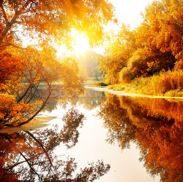 Folyó élvezetes ősz erdő napos idő fa Stock fotó © Givaga