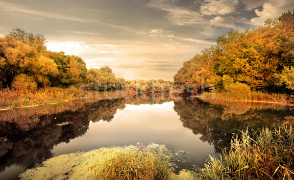 River in the autumn Stock photo © Givaga