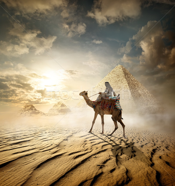 Stockfoto: Piramides · mist · kameel · hemel · zon · landschap