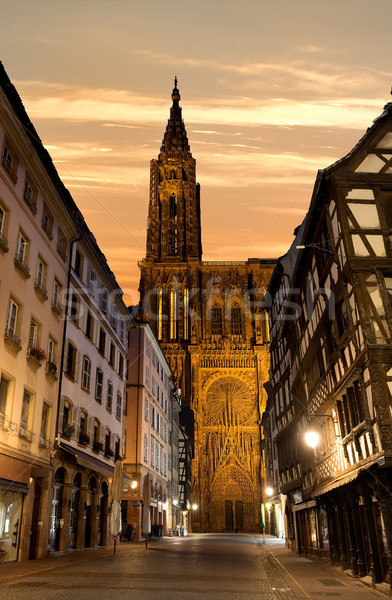 Notre Dame de Strasbourg Stock photo © Givaga