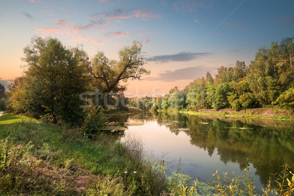 Pink sunset over river Stock photo © Givaga