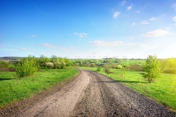 Road in a rural area Stock photo © Givaga