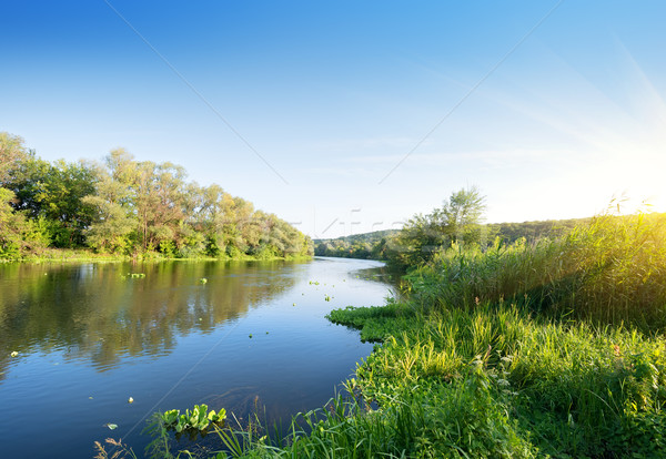 Summer river at sunset Stock photo © Givaga