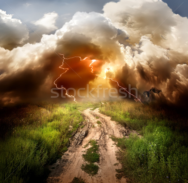 Fulger rutier câmp iarbă natură fundal Imagine de stoc © Givaga
