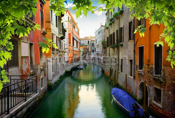 Veneciano calle verano Italia casa Foto stock © Givaga