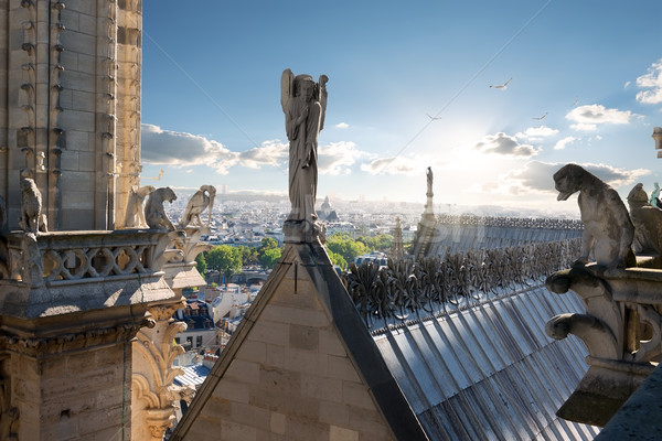 Angyal tető hölgy Párizs Franciaország égbolt Stock fotó © Givaga