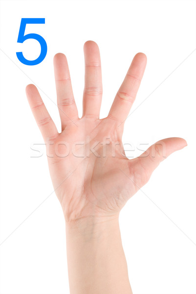 Number five Stock photo © Givaga