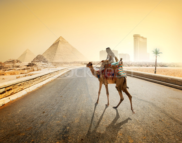 Estrada giza camelo Pirâmides de Gizé céu árvore Foto stock © Givaga