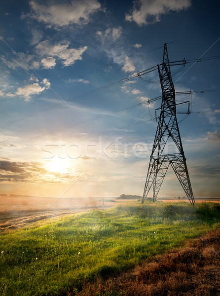 Electric pole and autumn field Stock photo © Givaga