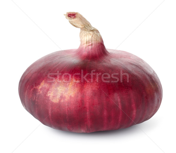 Red onion Stock photo © Givaga