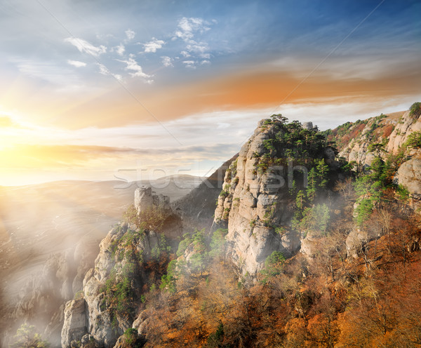 Nebbia montagna canyon sunrise montagna cielo Foto d'archivio © Givaga