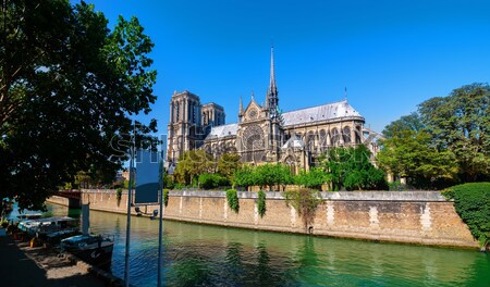 Foto d'archivio: Cattedrale · Parigi · Francia · albero