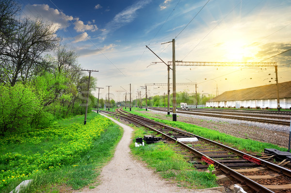 Poles on a railway Stock photo © Givaga