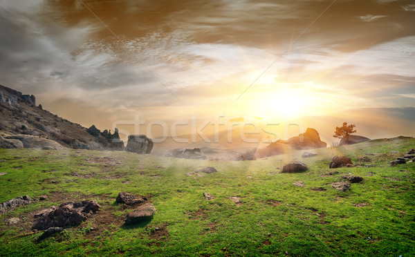 Foto stock: Rocas · pradera · amanecer · árbol · primavera · hierba