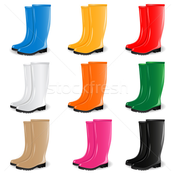 Colored rubber boots vector set Stock photo © gladcov