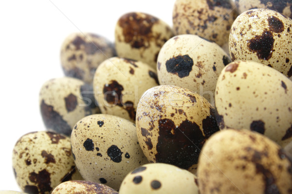 Yumurta görüntü beyaz gıda model Stok fotoğraf © gladcov