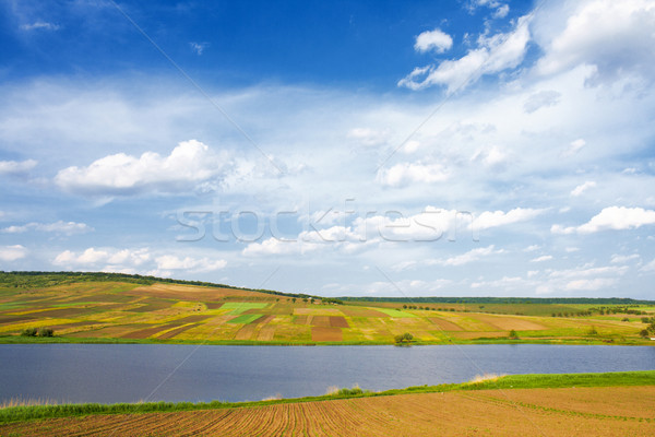 Hermosa primavera paisaje naturaleza verano campo Foto stock © gladcov