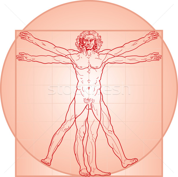 The Vitruvian man (Red version) Stock photo © Glasaigh