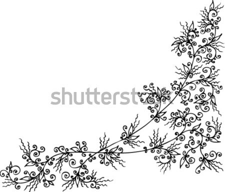 Refined Floral vignette CCXC Stock photo © Glasaigh