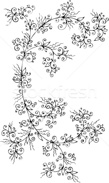 Refined Floral vignette CCXCI Stock photo © Glasaigh