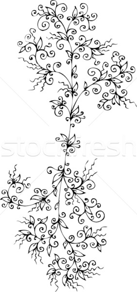 Refined Floral vignette CCLXXXIX Stock photo © Glasaigh