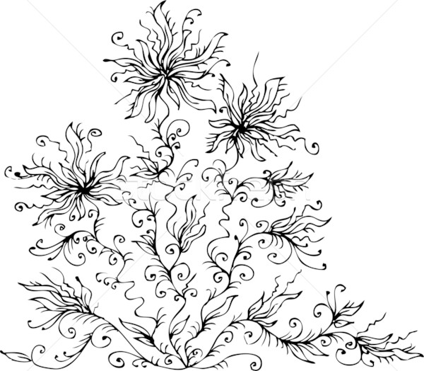 Les Fleurs du mal. Eau-forte XIX Stock photo © Glasaigh