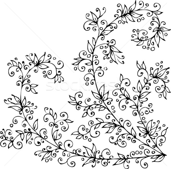 Floral vignette CCCIV Stock photo © Glasaigh